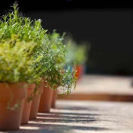 Huettenmuehle Hotell Hillscheid