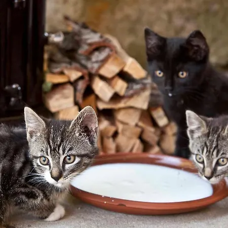 Huettenmuehle Hotell Hillscheid