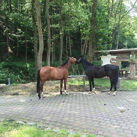 Huettenmuehle Hotell 3*