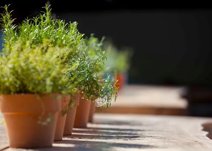 Huettenmuehle Hotel Hillscheid