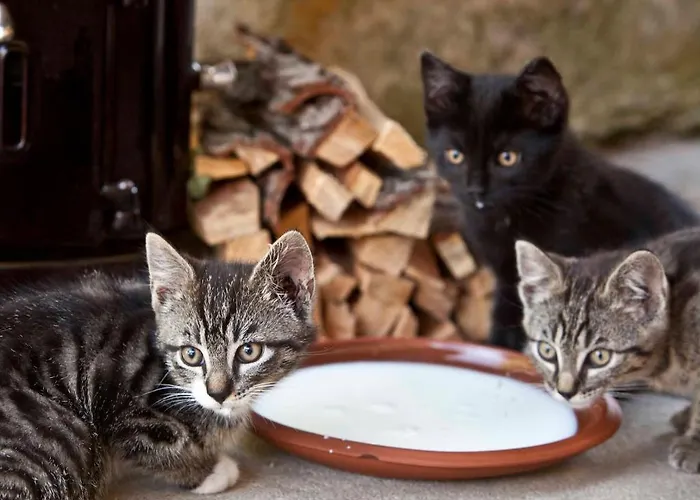 Huettenmuehle Hotel Hillscheid