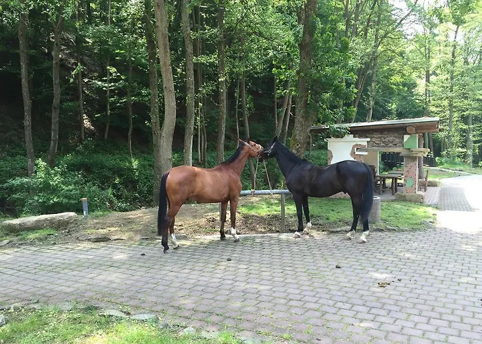 Huettenmuehle Hotel 3*